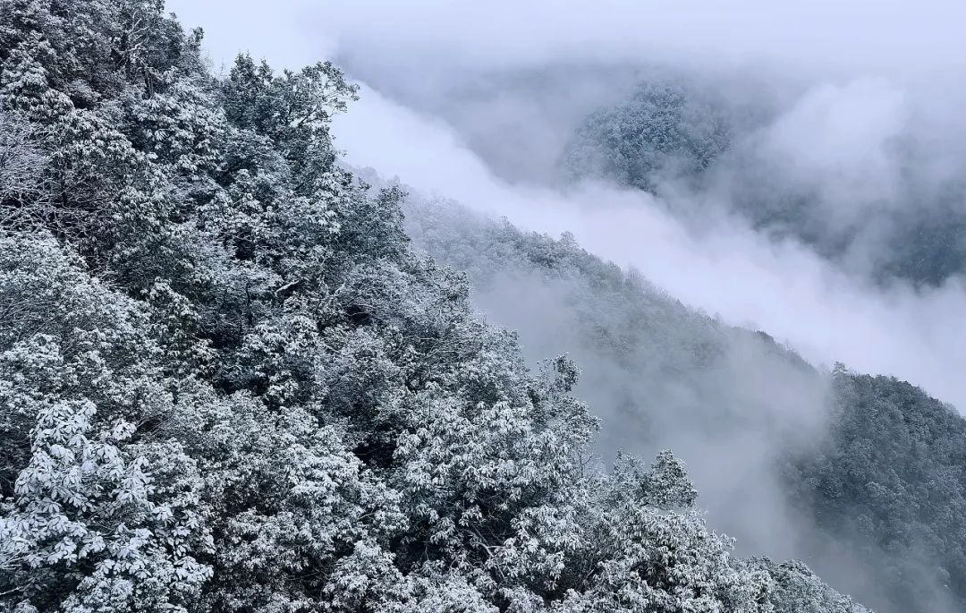 浓浓年味配美美雪景这些雅安雪景图哪张让你心动了