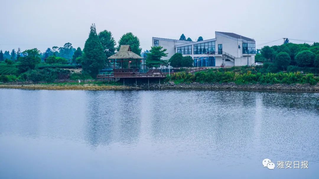 雅安的旅游_雅安旅游景点排名前十_雅安市旅游景点推荐