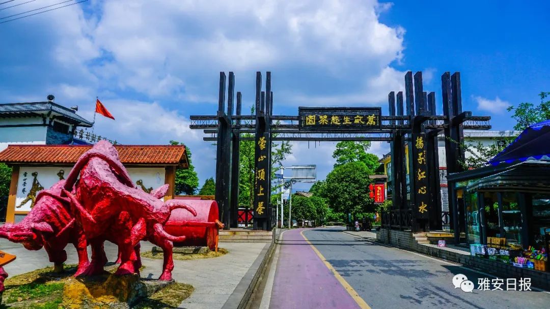 雅安旅游景点排名前十_雅安市旅游景点推荐_雅安的旅游