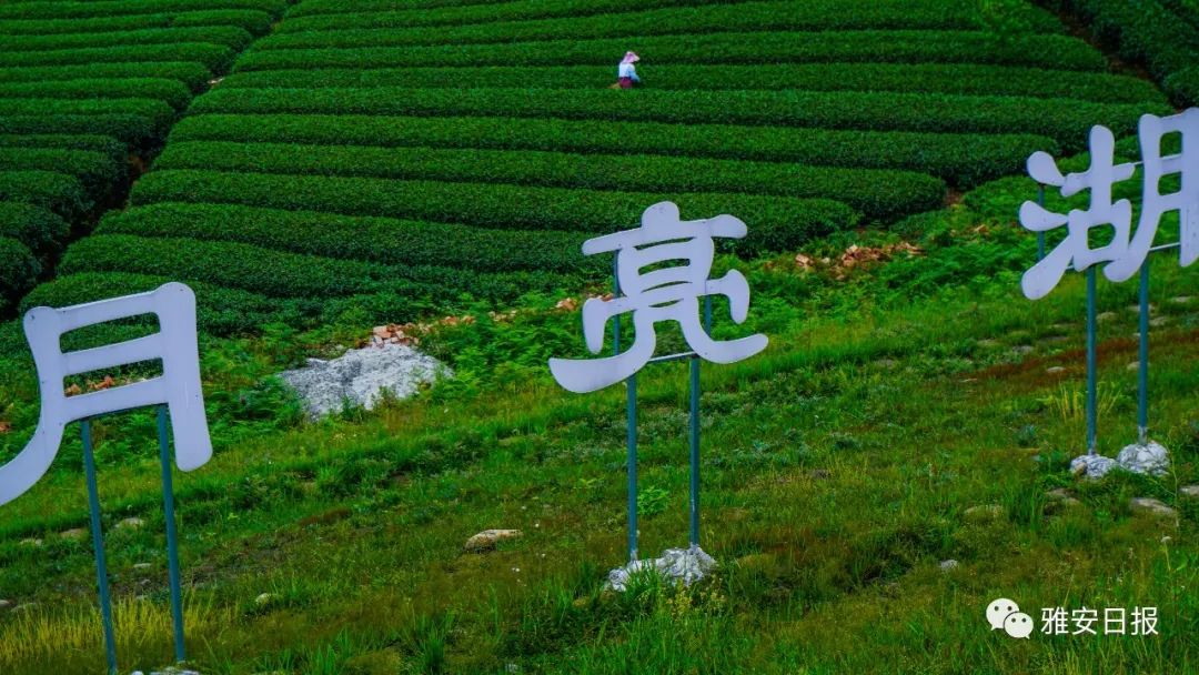 雅安的旅游_雅安旅游景点排名前十_雅安市旅游景点推荐