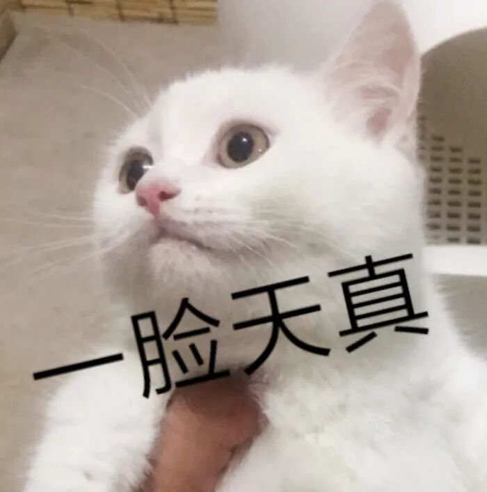 成年人的世界没有愚人节 但要有快乐起来的能力 未读 微信公众号文章阅读 Wemp