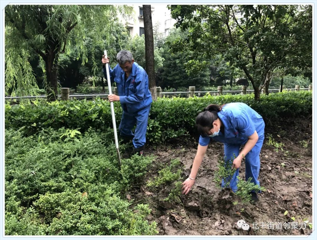 物业服务经验分享_物业服务经验总结_物业优质服务典型经验