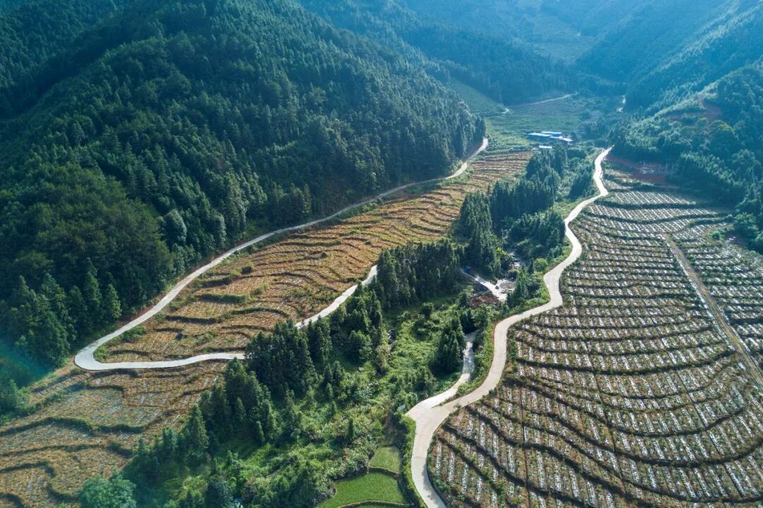 春·路 | 秀美的壮乡瑶寨,延绵的希望之路