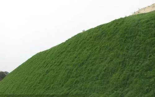 生态护坡与地表制水的图4