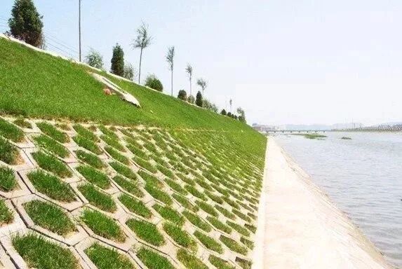 生态护坡与地表制水的图5