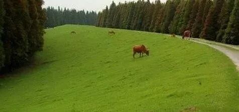 生态护坡与地表制水的图1
