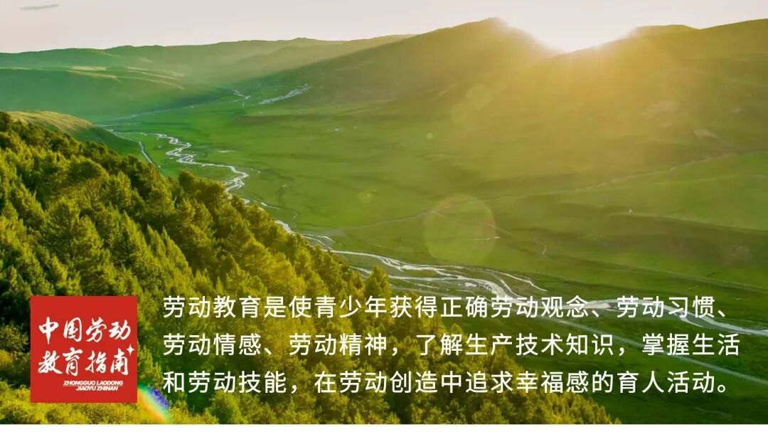 蒋洪池熊英 日本小学劳动教育 形式 特点及启示 广东省研学旅行协会studytravel 微信公众号文章阅读 Wemp