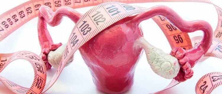 进展丨干细胞治疗卵巢早衰 看这一篇就够了