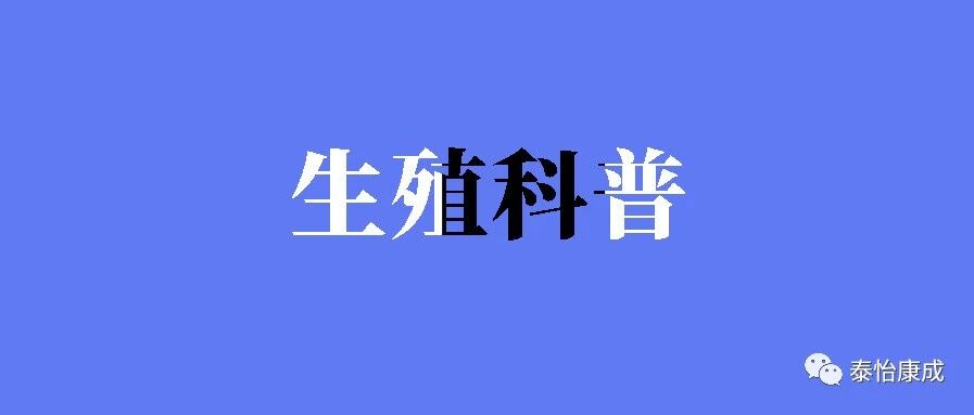 维生素D 与男性不育关系的研究进展