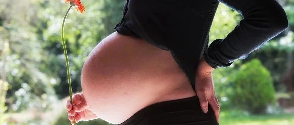 妊娠期女性消除贫血有多重要？