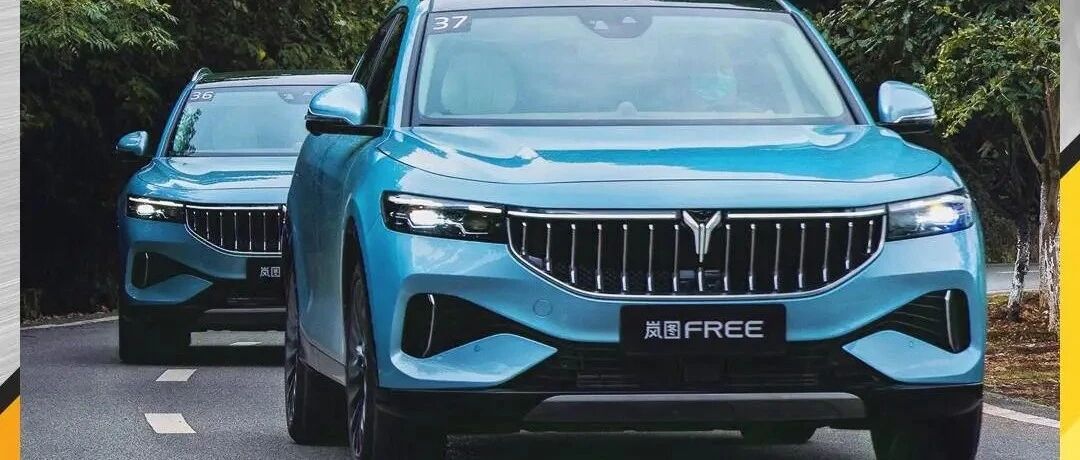 要“稳”要“准”更要“狠”，试驾岚图FREE