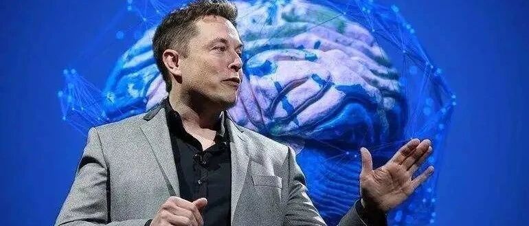 三只小猪难阻特斯拉暴跌？