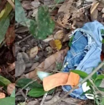 aed在日本怎么购买在金边拍AV？日本女跳楼真相...._https://www.jmylbn.com_新闻资讯_第2张