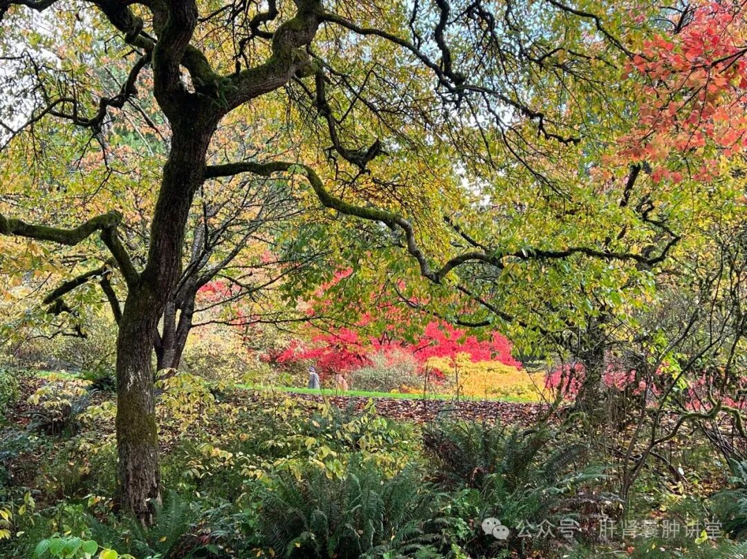 哪些人不能接种流感疫苗？（附预防感冒中药茶配方，请收藏）