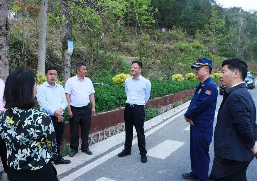 杨雪峰到长堡镇调研督导森林防火产业发展等重点工作并