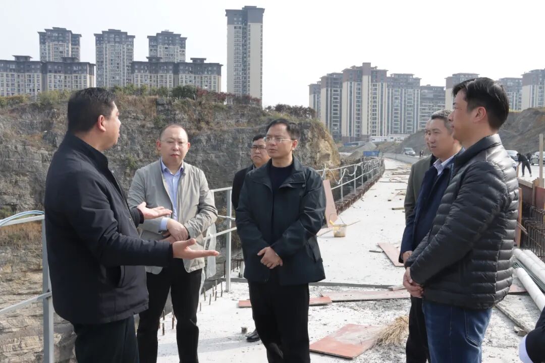 杨雪峰调研督导市政基础设施项目建设