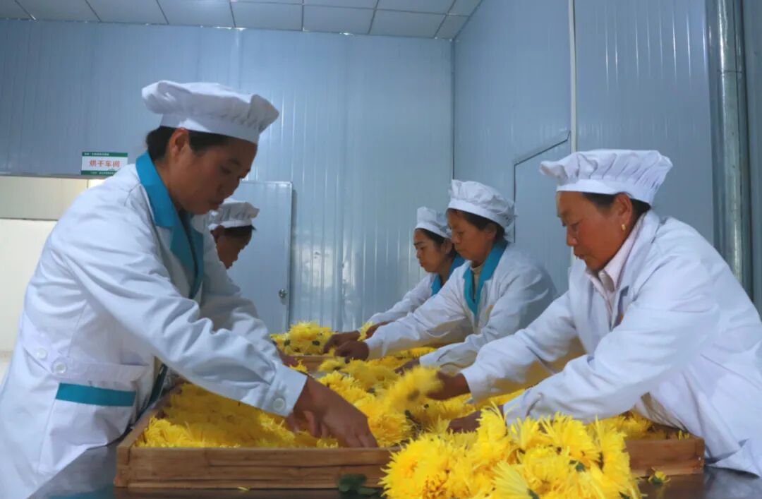 “三花山”入选央企助力乡村产业振兴特色品牌