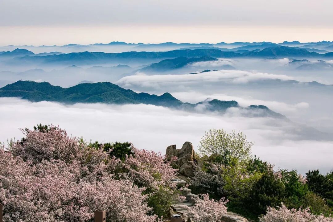 收藏这五个地方藏着最美的春天疫情结束再出发