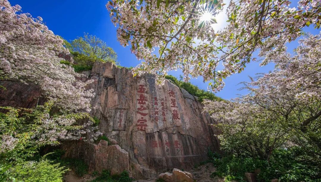 收藏这五个地方藏着最美的春天疫情结束再出发