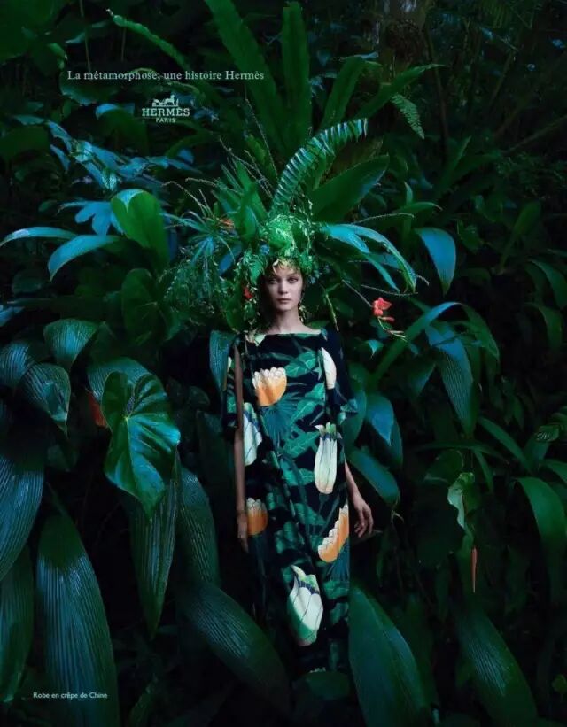 1653465384965032928.jpeg 641-13.jpeg