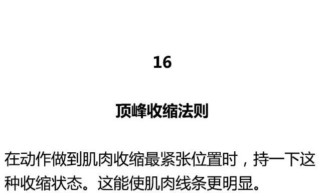 健身圈公認的20大黃金訓練法則 運動 第32張