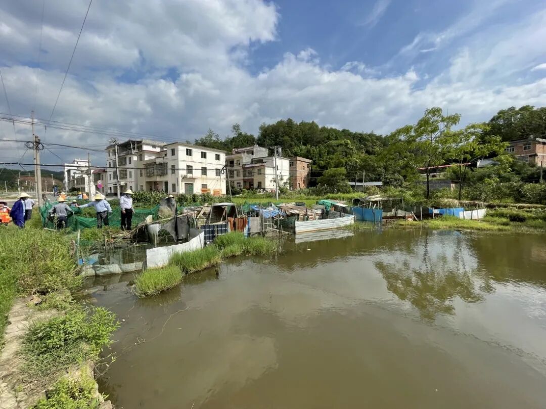 黄埠镇:凝心聚力齐上阵 环境整治促提升 | 上犹县信息公开