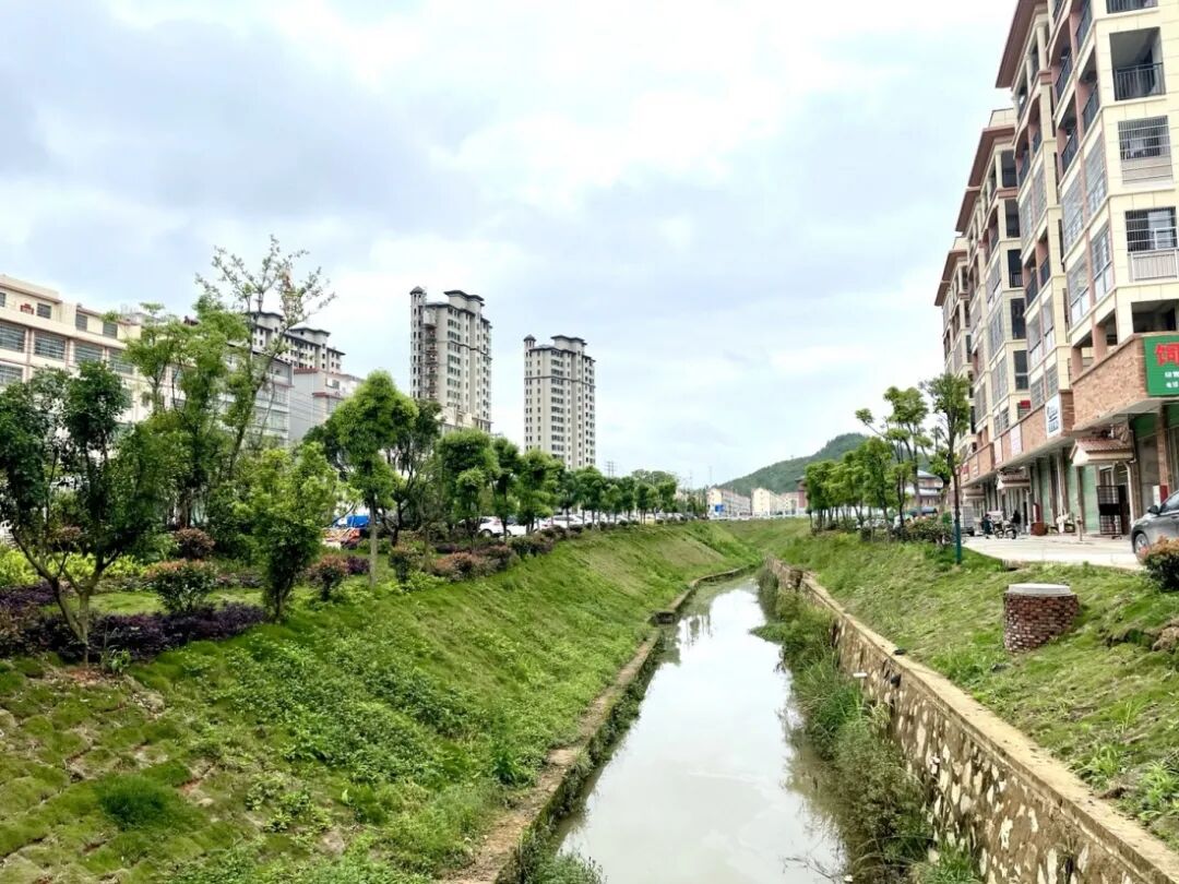 黄埠镇:凝心聚力齐上阵 环境整治促提升 | 上犹县信息公开