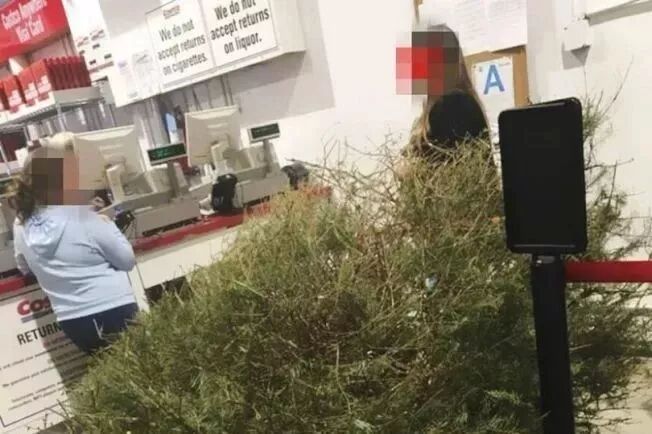 中国姑娘买18件衣服，旅游拍照后全退货！网友都怒了！换成在澳洲，你可能要被封号了... - 29