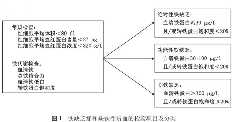 (7)红细胞游离原卟啉(fep>0.9μmol/l(全血,血液锌原卟啉(zep>0.