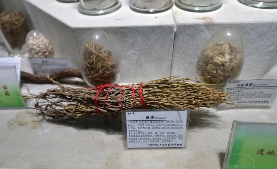 微信图片_20240104154652.jpg