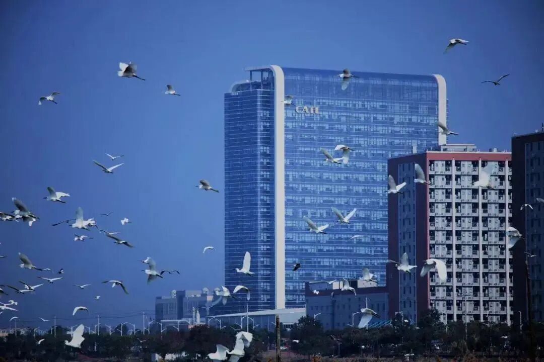 曾毓群跨过万亿市值：时代缔造宁德时代的图15