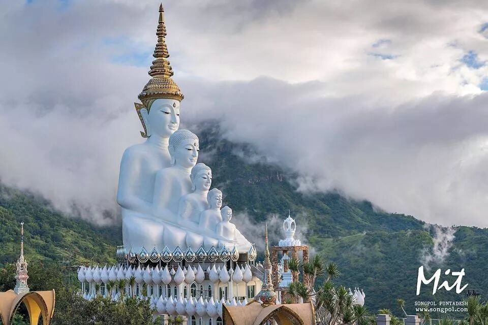 ���й�����̩����ʬ��ǰ���� ̩����:�ǲ��Ƿ���!