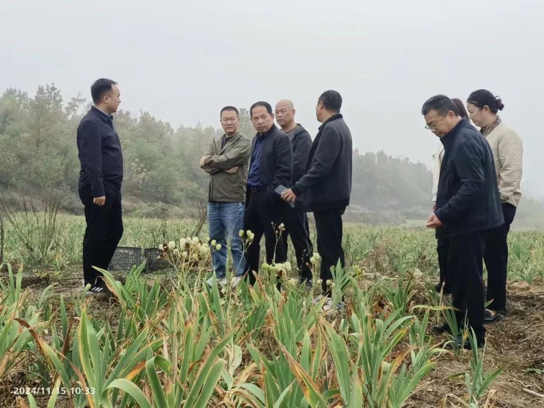 天城镇组织干部到高城镇考察学习天城镇,高城镇,考察学习,中药材产业,农民增收