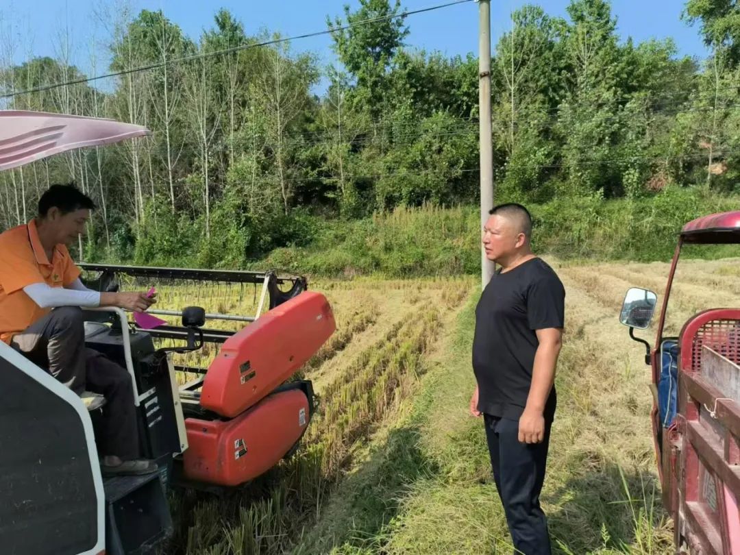 防患于未“燃”  多措并举筑牢秸秆禁烧防火墙秸秆禁烧,防火墙,高城镇,环保宣传,巡逻管理