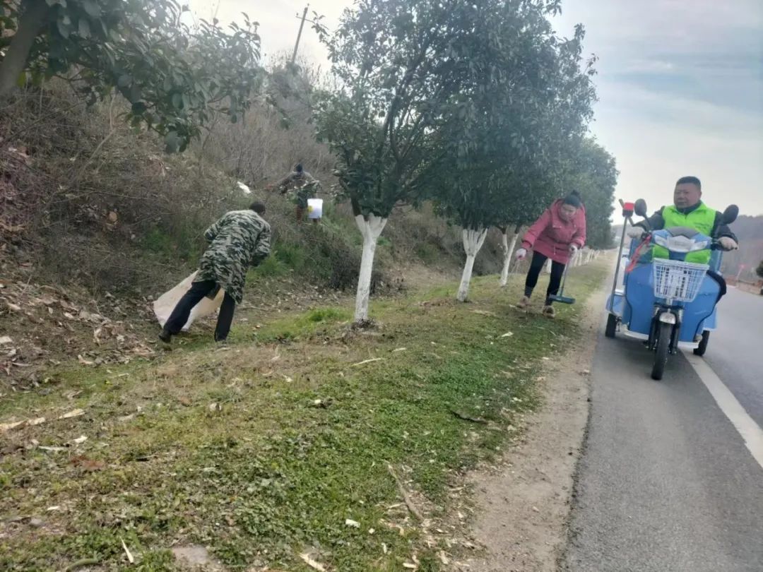 清洁家园 高城镇在行动(五)清洁家园,高城镇,环境整治,垃圾清理,水生态保护