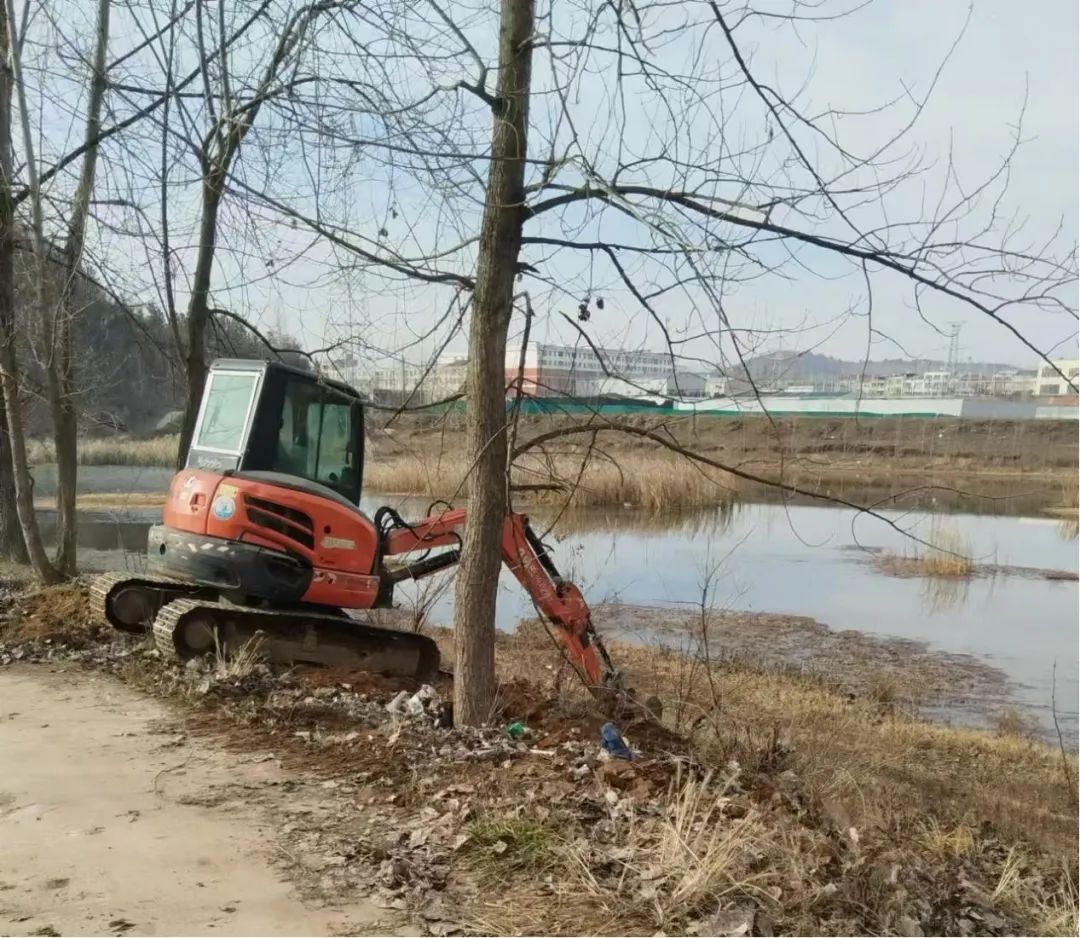 清洁家园 高城镇在行动(五)清洁家园,高城镇,环境整治,垃圾清理,水生态保护