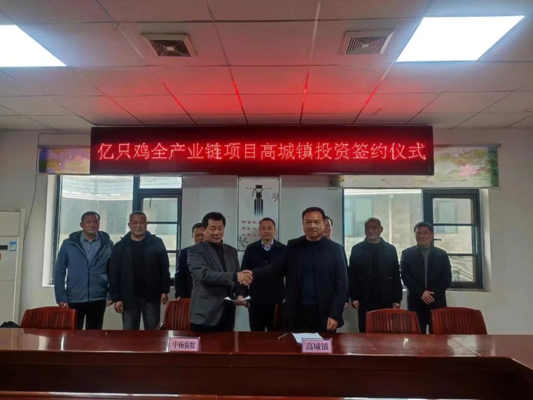 正式签约!亿只鸡全产业链项目落户高城镇高城镇,投资签约,湖北中杨农牧,招商引资,农牧产业升级
