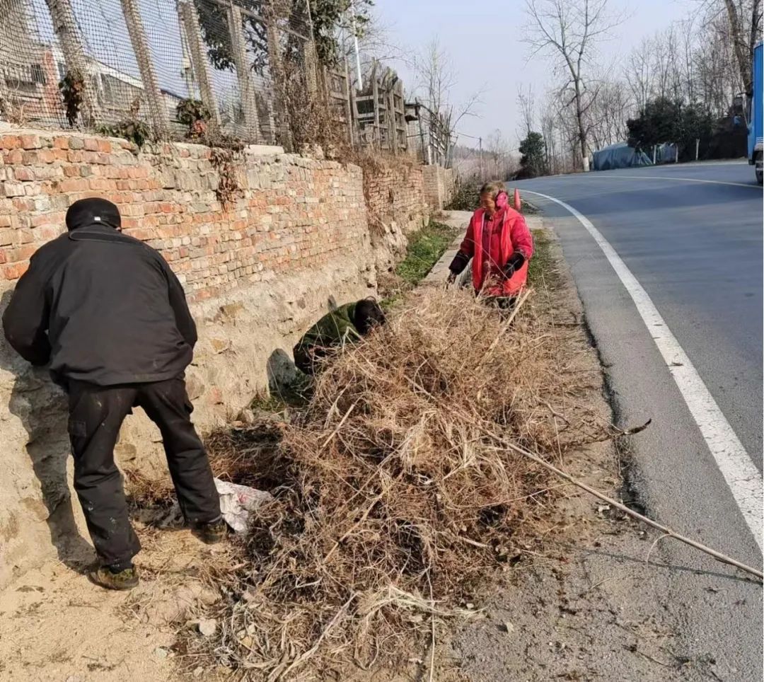 清洁家园齐奋战    周末工作不打烊清洁家园,高城镇,周末活动,环境卫生,社区清理