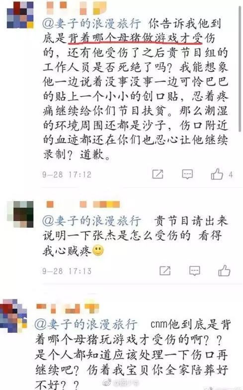 罵謝娜是「母豬」生產大出血，底線呢？ 娛樂 第7張