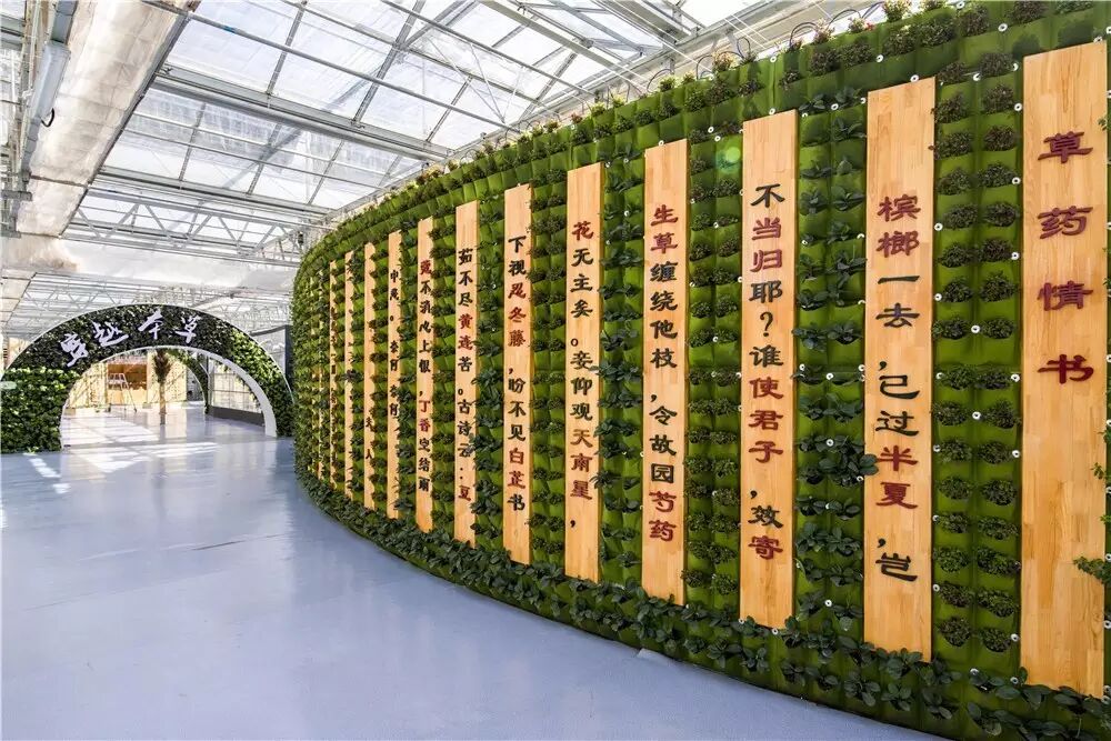 1万,大家都被哪些景观吸引?