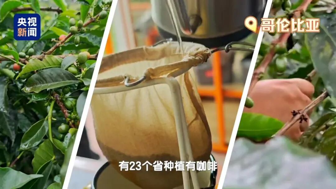 滇路咖啡豆好喝吗__滇萃咖啡综合体