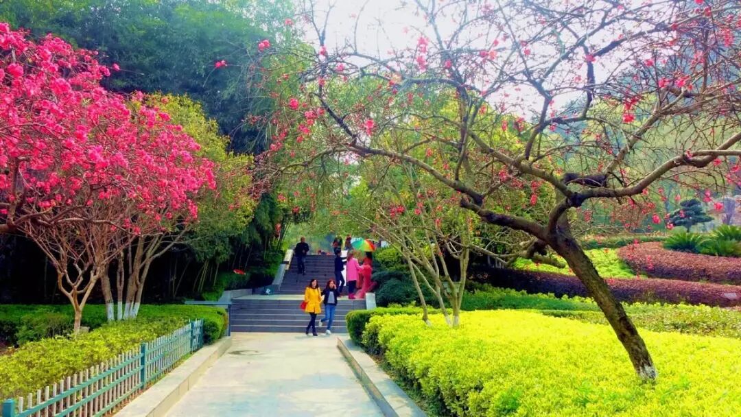 这里秀木成林,绿草如茵,缕缕清新空气扑鼻而来,是一个天然氧吧;有娱乐