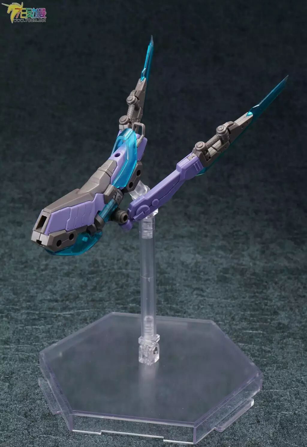 皮皮虾带小姐姐走~78动漫官方评测 寿屋 fag 大鹫