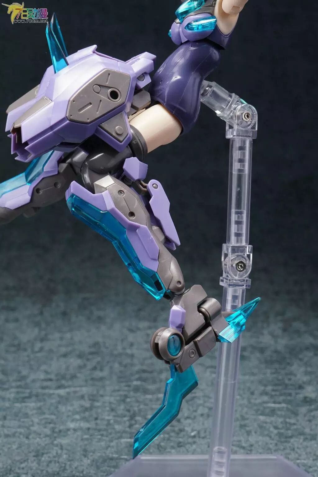 皮皮虾带小姐姐走~78动漫官方评测 寿屋 fag 大鹫