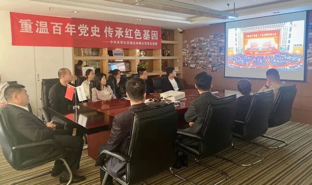 禾美党支部组织观看二十大开幕式暨召开二十大报告学习分享会(图2)