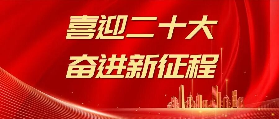 欢度国庆 喜迎二十大(图2)