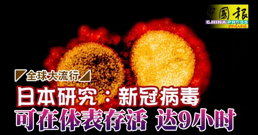 注意！新冠病毒可在皮肤表面存活9小时、康复者寿命或缩短至少10年（组图） - 4