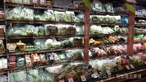 长堤对岸锁国新加坡食物不会中断我们有多个“国际菜篮” - 红蚂蚁