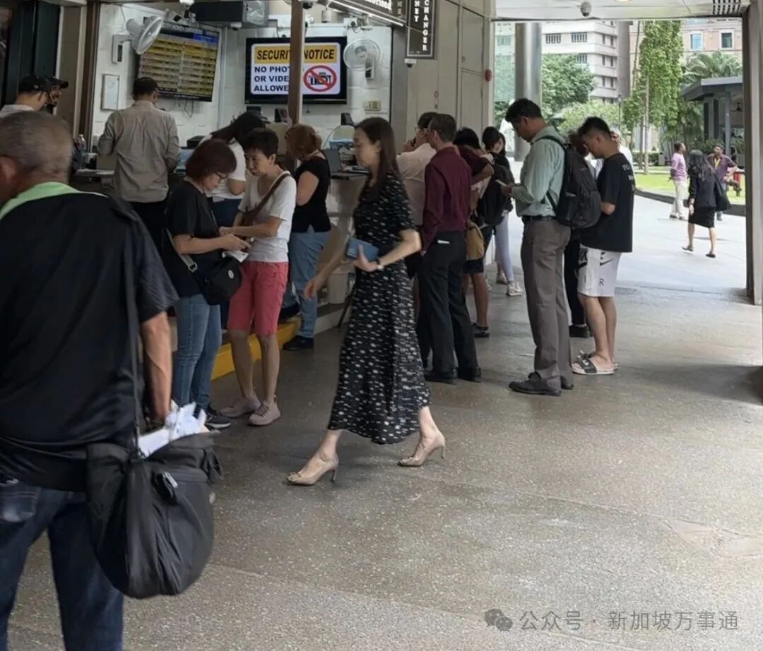 新币兑人民币1:5.6+，创10年新高！未来走势分析曝光~ - 华人快讯