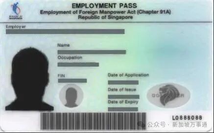 新加坡有几种工作准证- 新加坡新闻头条